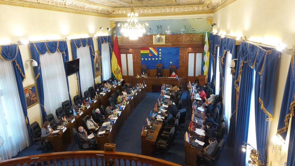 Cámara de Senadores autoriza la  realización de sesiones virtuales
