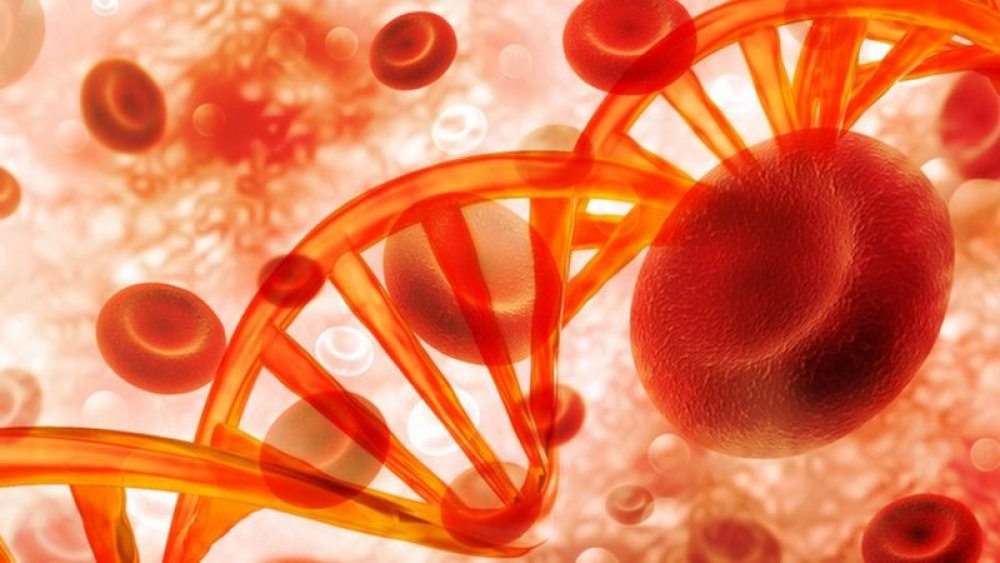 Mutación genética provoca colesterol alto