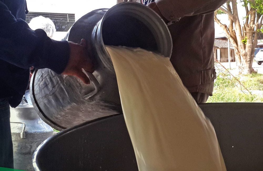 Productores de leche piden a soyeros levantar bloqueo