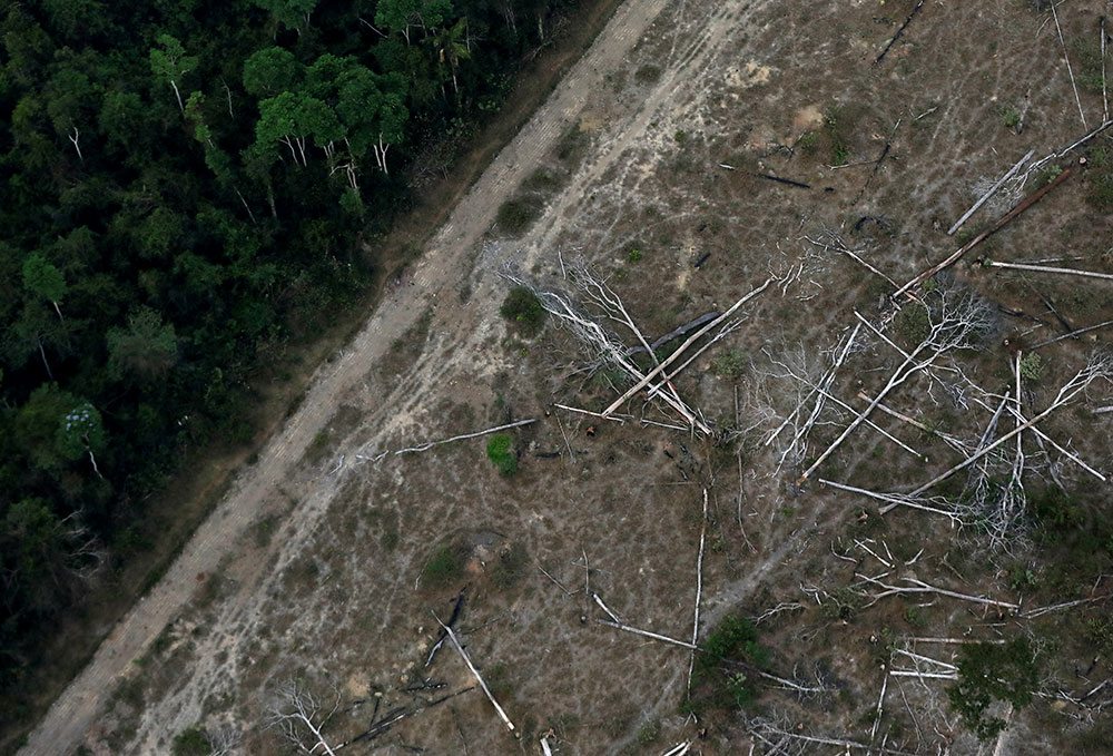 Brasil debe reducir deforestación entre 15% a 20%