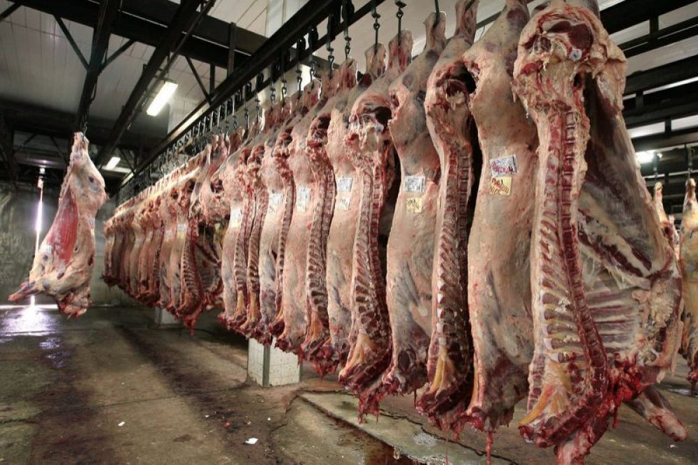 Suspensión de exportación de carne provocará desincentivo al sector