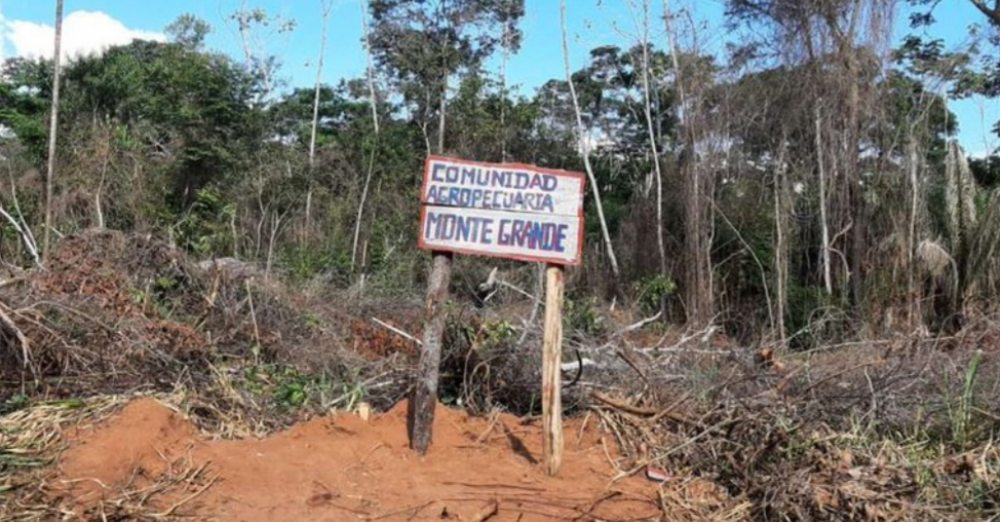 Cívicos piden frenar dotación de tierras en áreas protegidas