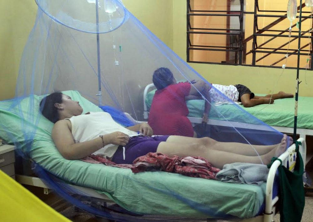 Prevén acciones para evitar mayor aumento de dengue
