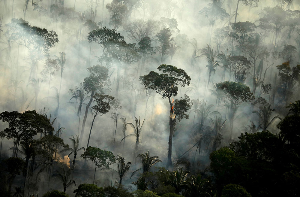 Científicos advierten mal año  de incendios en Amazonia