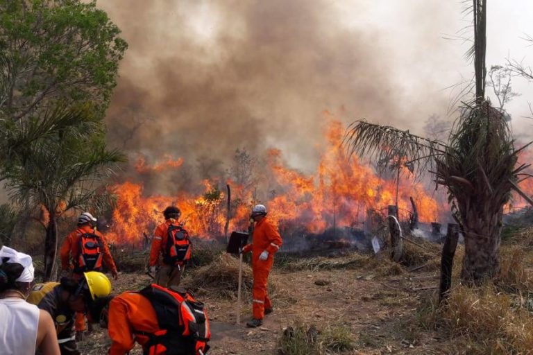 Diez incendios forestales afectan  a cinco municipios de Santa Cruz