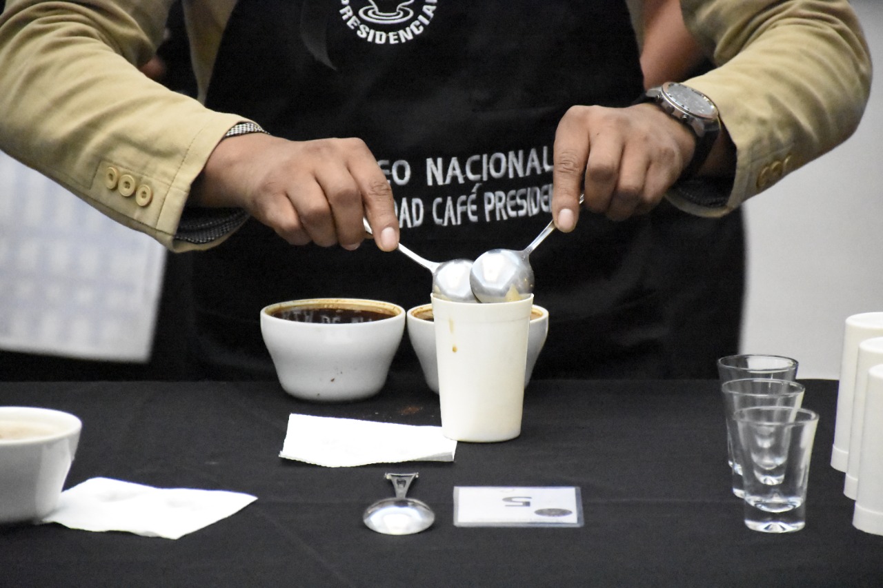 Torneo Nacional de Café se inicia  con preselección de muestras