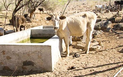 Cinco sistemas de agua  afectados por la sequía