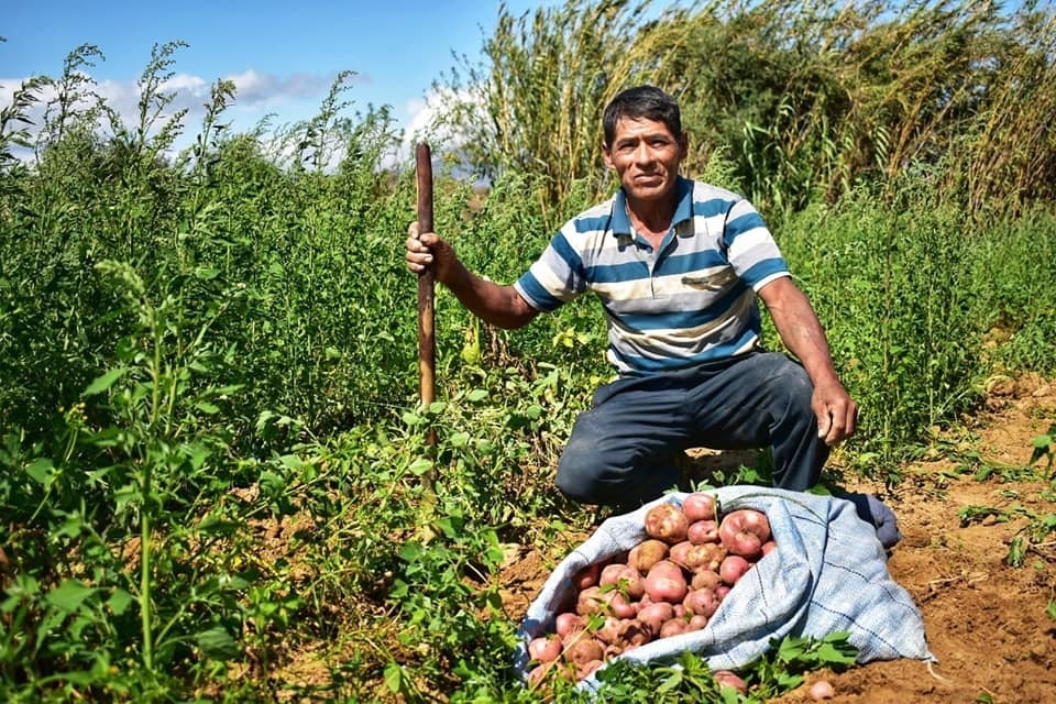 Empresa Boliviana de Producción  Agropecuaria con nuevo gerente