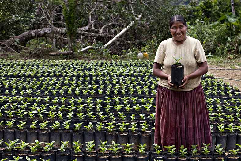 Banco Mundial apoyará a  productores rurales bolivianos