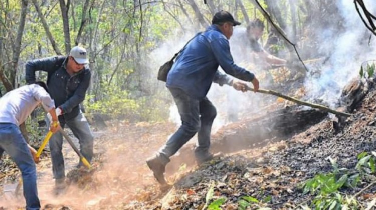 Incendio consume más de 1.500  hectáreas en Parque Aguaragüe