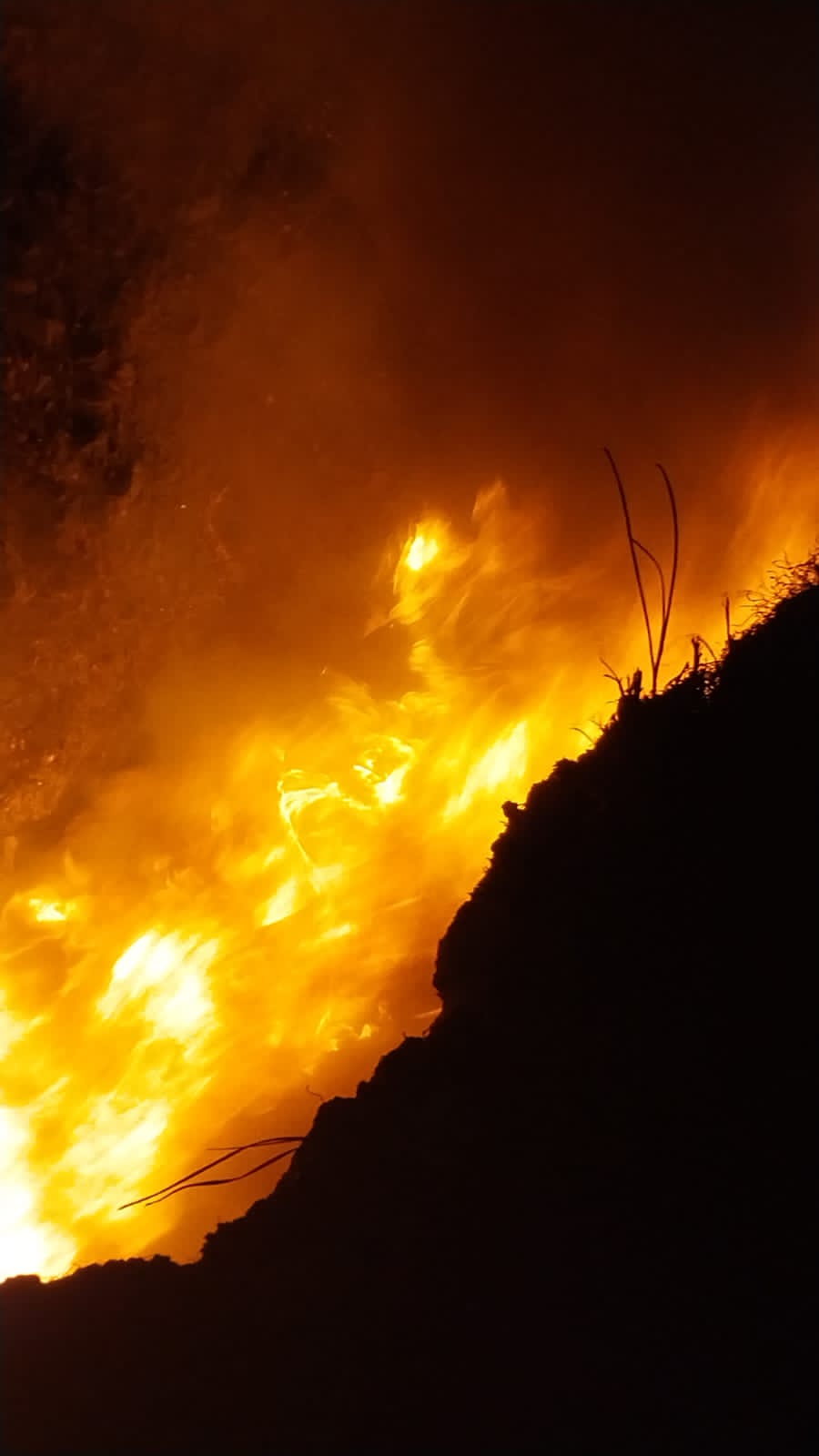 Fuego consume 4 hectáreas  en Bosquecillo de Pura Pura
