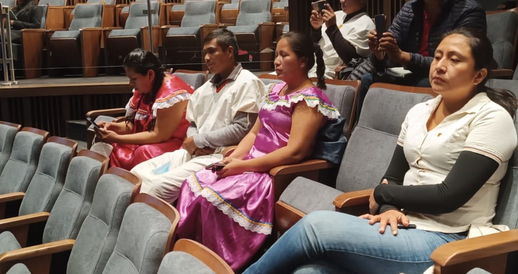 Senado aprobó norma para crear Unidad  Territorial Indígena Multiétnico del Beni