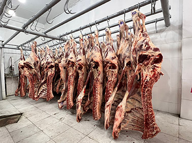 Bolivia exporta carne y  derivados por $us 228 millones