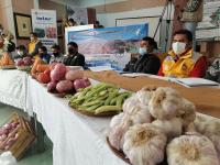 Lanzan programa hortalizas para reducir pérdidas de cultivos