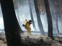 Indigentes y jóvenes ocasionan  incendios en bosquecillos de La Paz