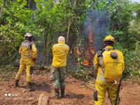 Logran sofocar incendio en  serranía Sararenda de Camiri