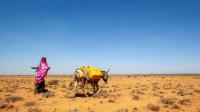EEUU entrega 150 millones de  euros ante la sequía en Somalia