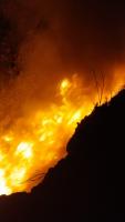 Fuego consume 4 hectáreas  en Bosquecillo de Pura Pura