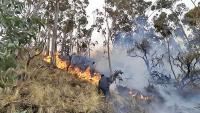 En septiembre fueron apagados 12 incendios forestales en La Paz