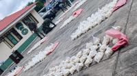 Fiscalía investiga hallazgo de  más de 700 kilos de cocaína
