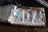 La ONU advierte que producción  de cocaína llegó a niveles récord
