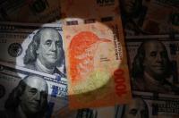 Persiste devaluación del peso argentino  y se desalienta negocios que usan dólar