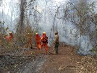 Conade exige parar “ecocidio”  por quemas descontroladas