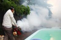 Paraguay emite una alerta  epidemiológica por dengue
